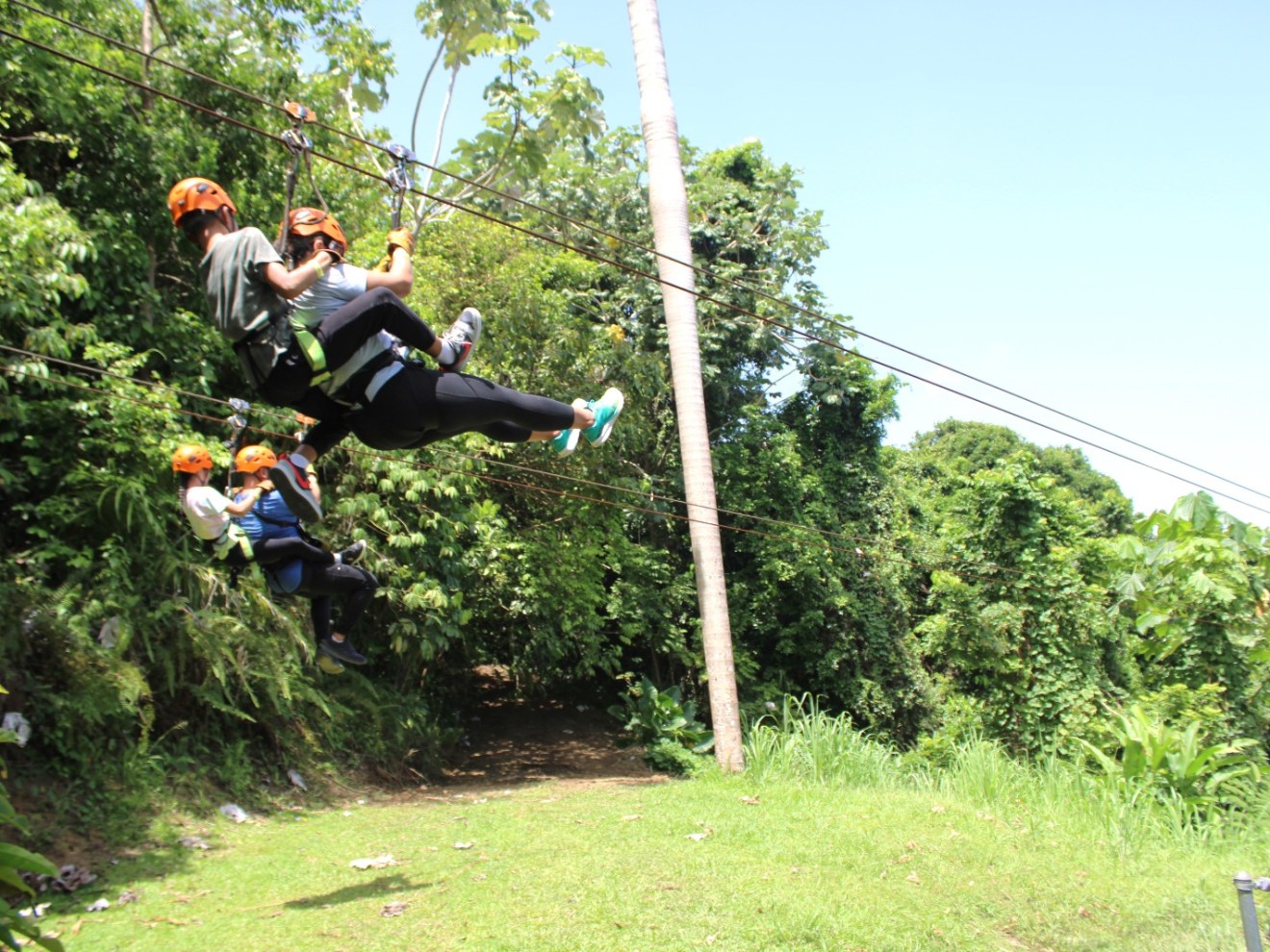 People ziplining through a lush, green forest with safety harnesses on a sunny day.