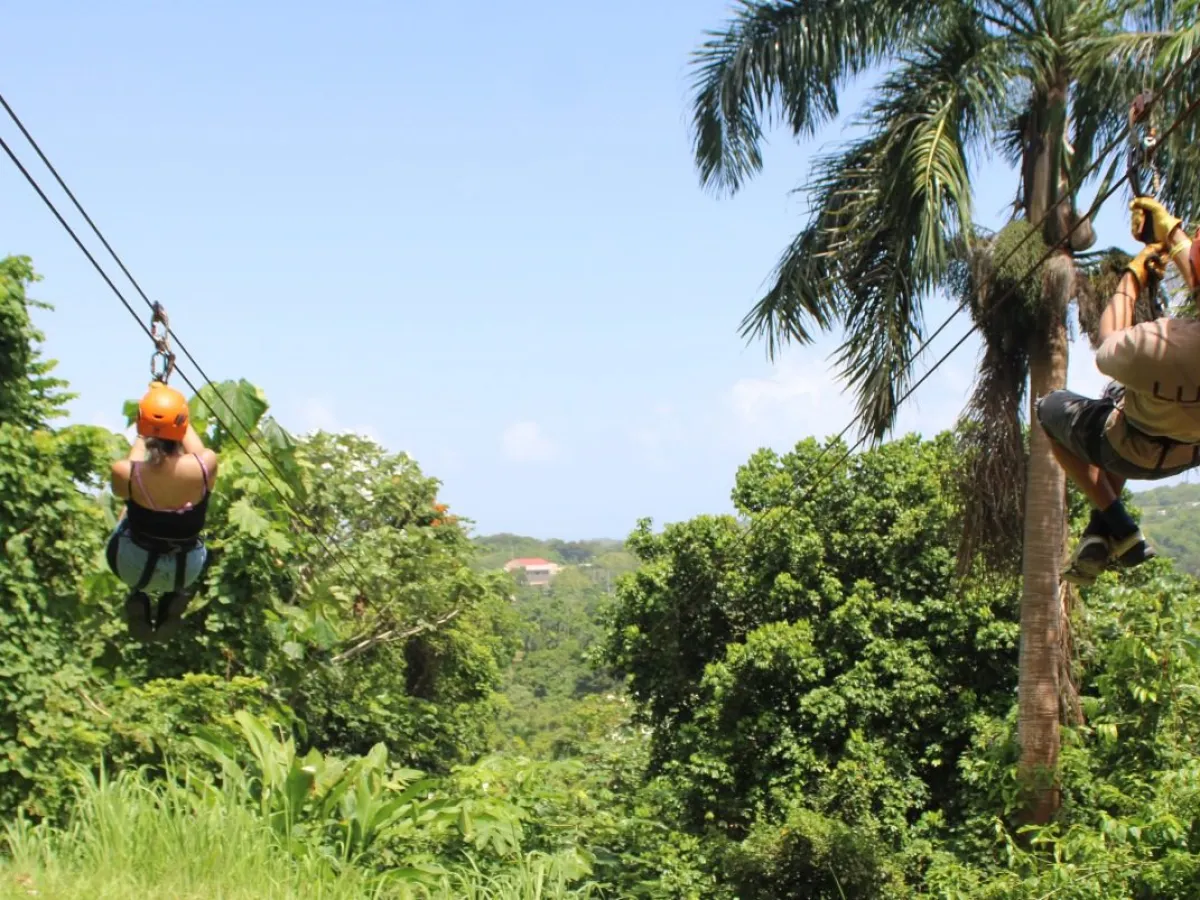 Two people zip-lining through lush green trees under a clear blue sky.