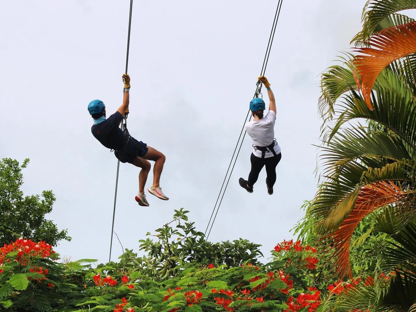a group of people flying kites in the air