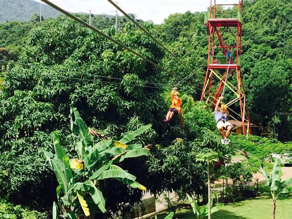 rainforest zipline 9 rainforest zipline 9