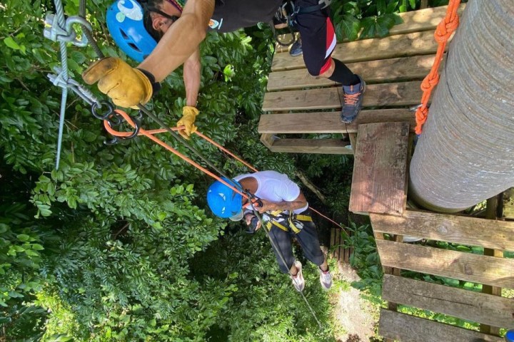 a person standing next to a tree